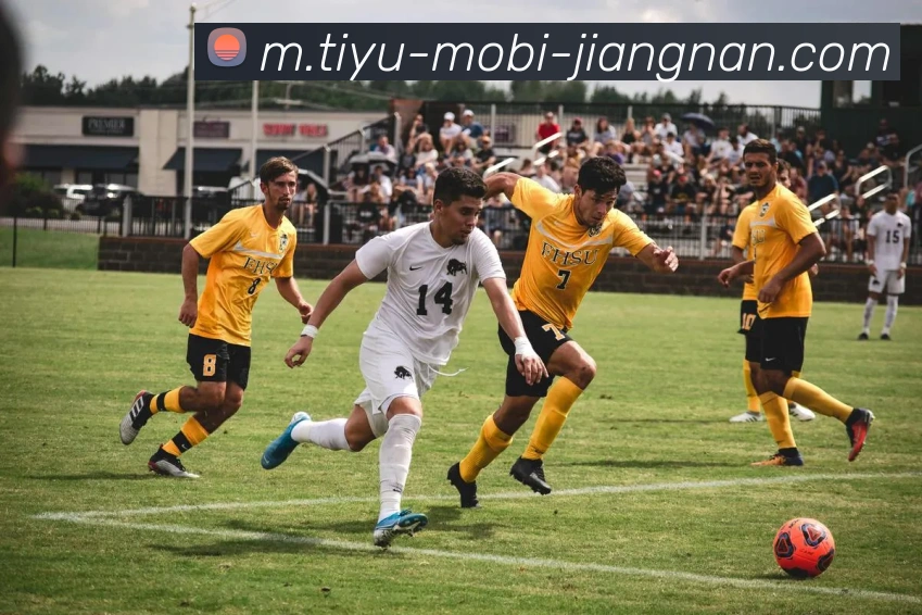 江南体育服务体系